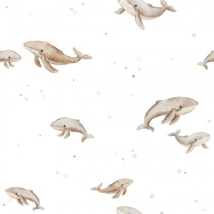 Humpback Whales White Medium