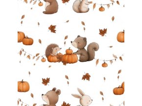 Roztomilá podzimní zvířátka v boho stylu