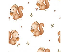 Forest Squirrel with acorn white