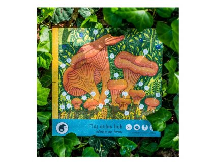 Můj atlas hub - kreativní kniha