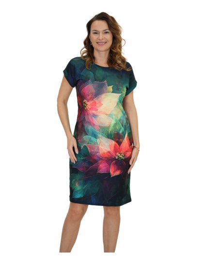 Návrh bez názvu 25