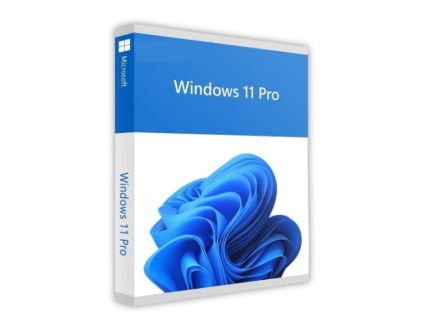 127 windows 11 professional