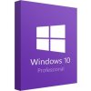 Windows 10 Professional