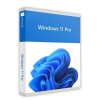 127 windows 11 professional