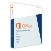 Office 2013 Professional Plus (Typ aktivace Online)