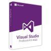 Visual Studio 2022 Professional