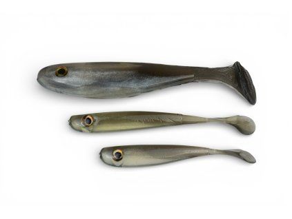 Silver Fish