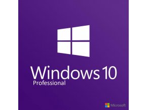 W10PRO ESD