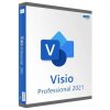 162 1461 microsoft visio professional 2021