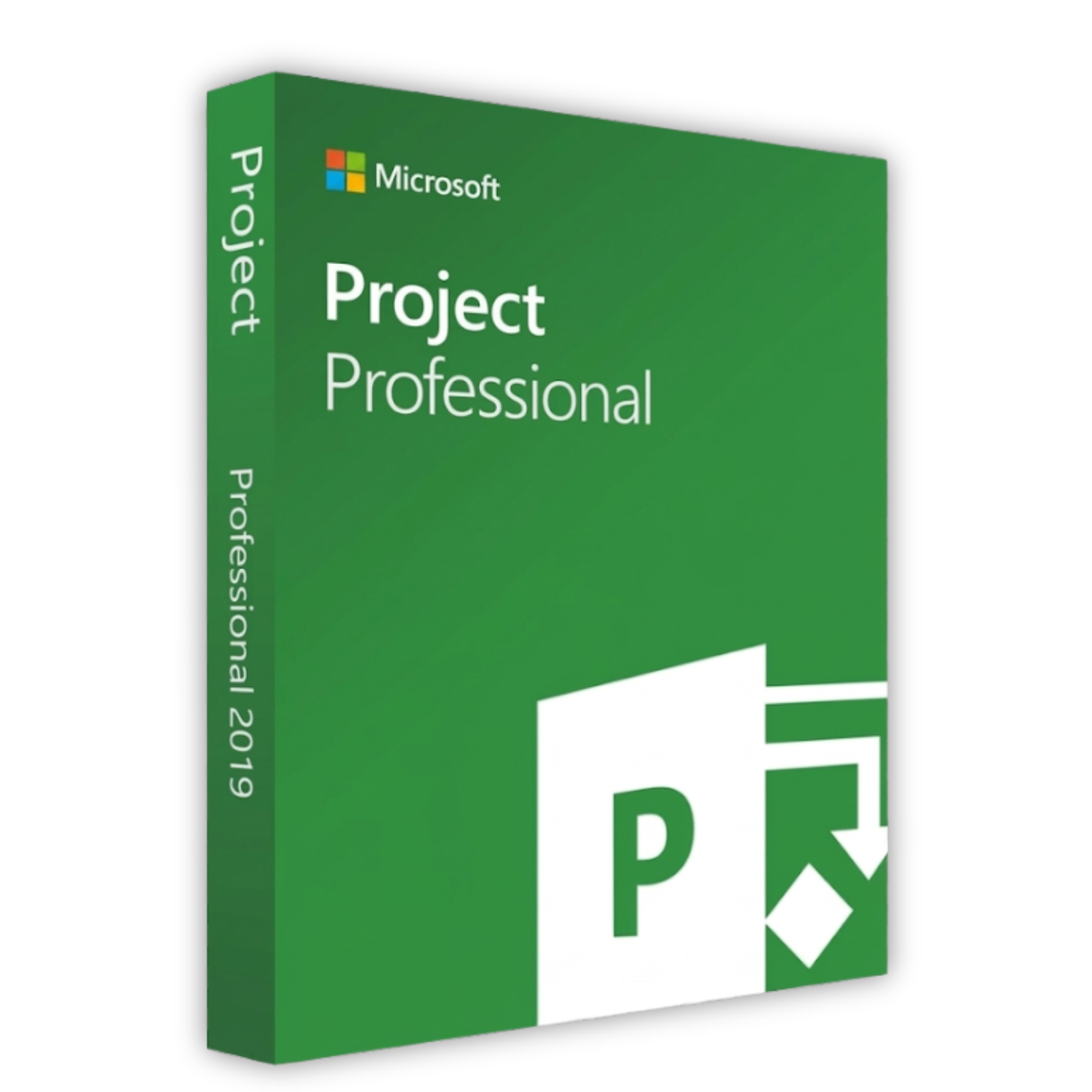 Project 2019 Professional