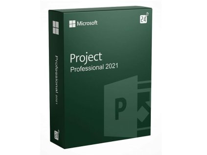 Project Professional 2021 min
