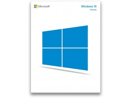 ms win10 home large