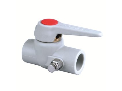 kohout%20vypou%C5%A1t%C4%9Bc%C3%AD