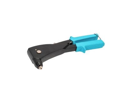 P17521