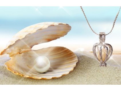 Snímek obrazovky 2021 04 27 083320