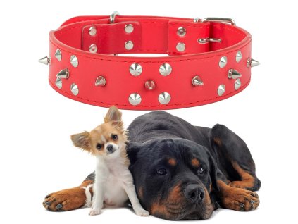 33972 16 obojek pro psy s cvocky z ekologicke kuze nastavitelny xl