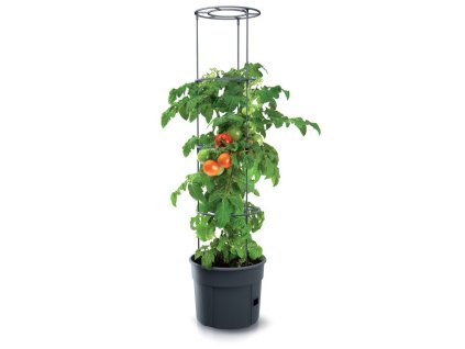 Květináč na pěstování rajčat TOMATO GROWER antracit 29,5 cm (max. výška: 115,2cm) (Průměr 39,2cm)