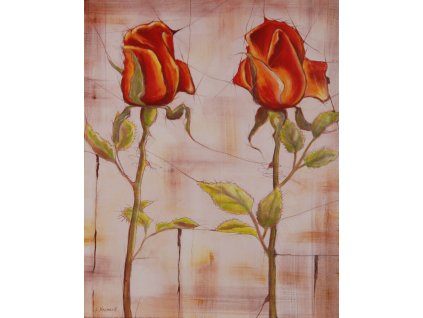 80af904f7d52a02b8bc781d88dcda533