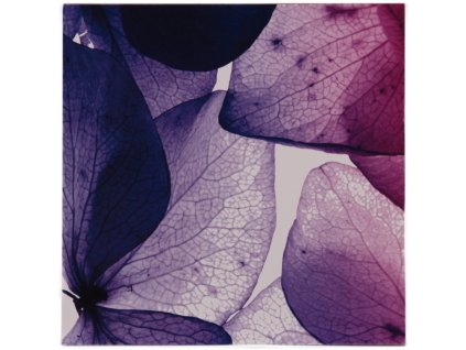 cae7104962e59d6886549e475fa54d52