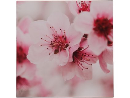 f5b56d3f4d5bb9c5a4bf8a0c986a5d10