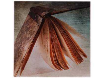 58a0df9b16aa38201798a1b0da9295ed