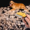 3150 profesionalni hrablo na srst dog brush