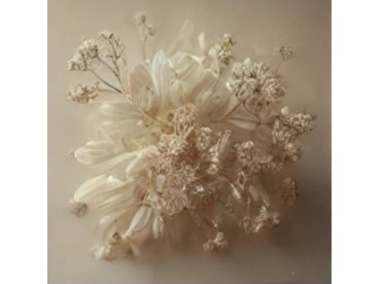 Breeze2