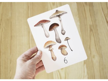 ČÍSELNÉ KARTY Z LESA A LOUKY