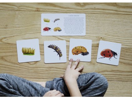 PŘÍBĚHY PŘÍRODY