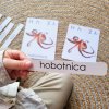 Tridelne kartice Živalska abeceda