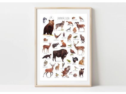 LESNÉ ZVIERATÁ PLAGÁT