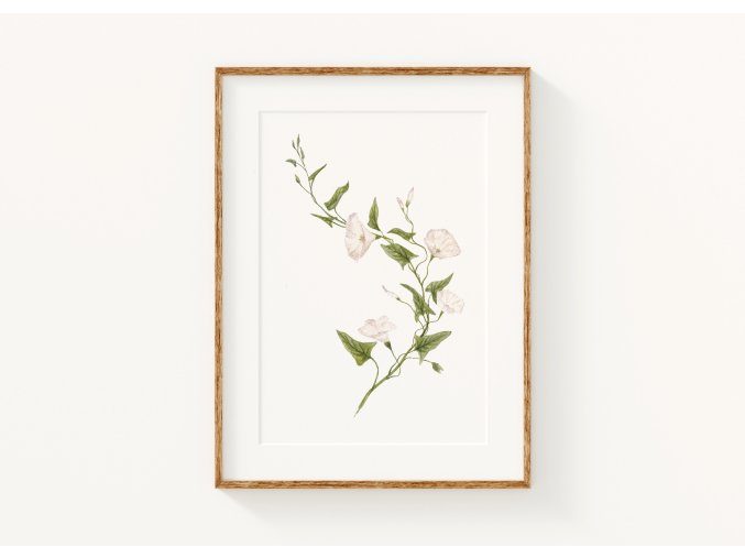 Printpupenec