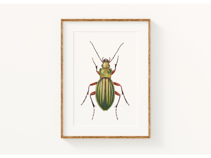 Printbystruška