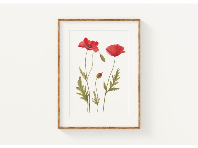Printmaky