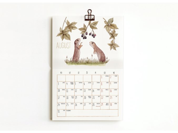 01 august+