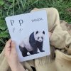 ABC3 panda