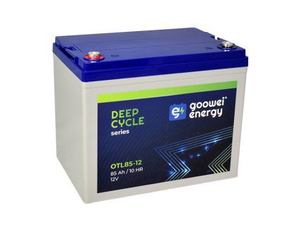 Goowei Energy DC 2025 OTL85 12