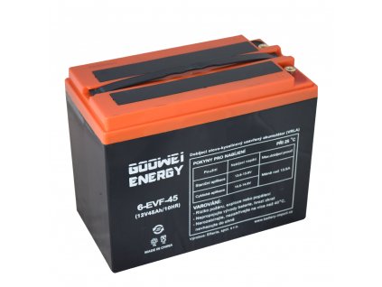 Trakční (GEL) baterie GOOWEI ENERGY 6-EVF-45, 45Ah, 12V