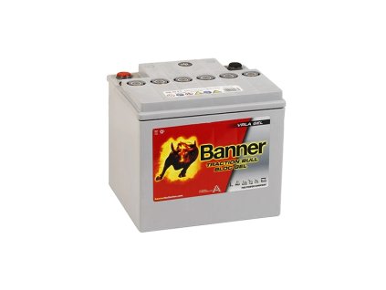 Trakční baterie Dry Bull DB 40 FT (GEL), 40Ah, 12V