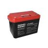 Goowei Energy CNLFP50 25.6
