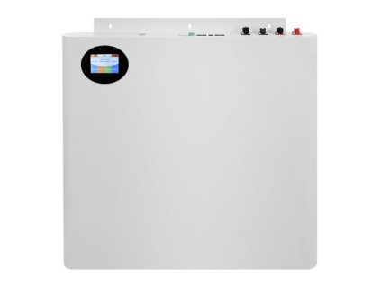BS 5000 48 100A SLIM 1