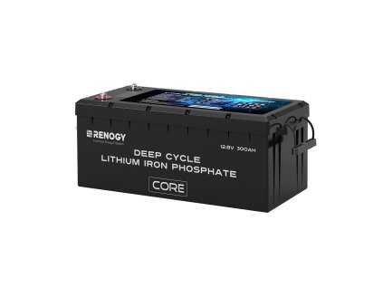 RBT12300LFPSH 29021