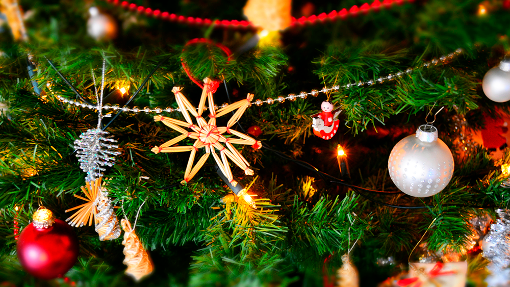 Děkujeme za Vaši přízeň v roce 2024