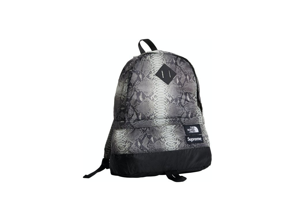 north face supreme snakeskin backpack