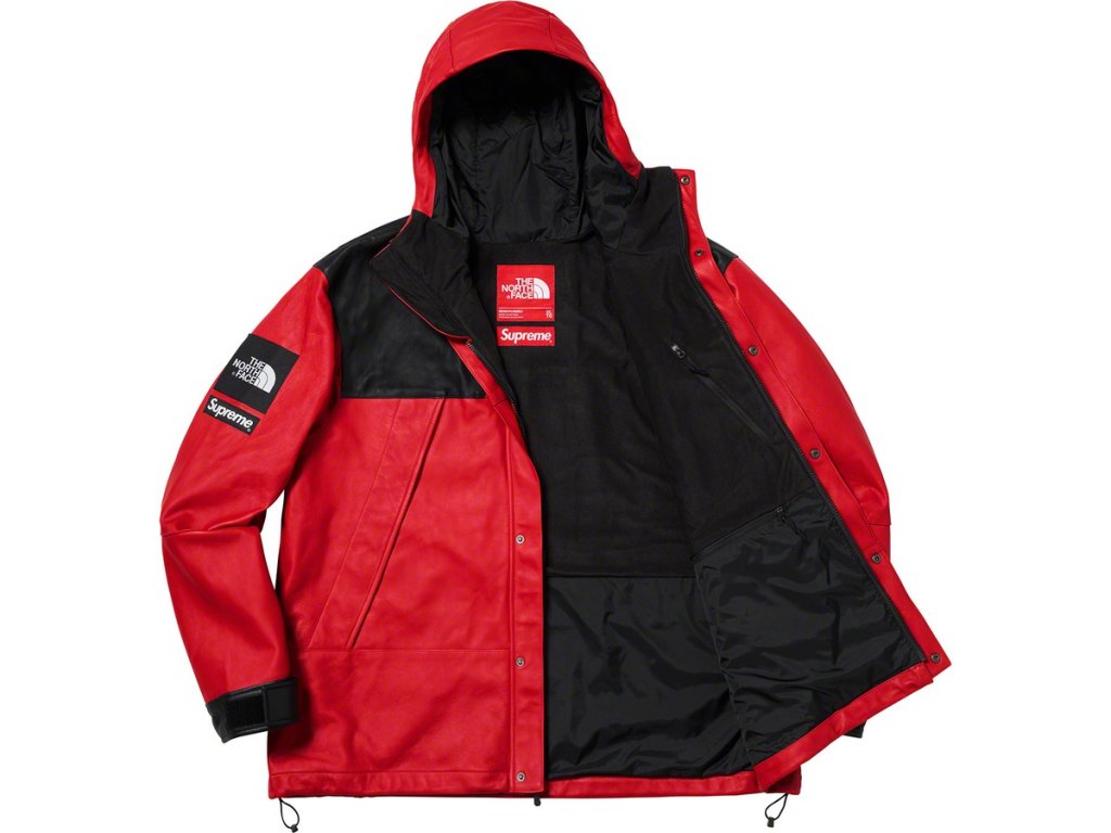 Supreme®/The North Face® Leather Mountain Parka - Soldout Store