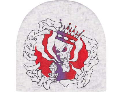 new world order beanie ash grey 4