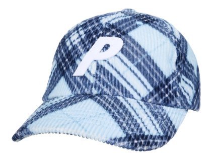 summer 2024 corduroy p 6 panel blue bias check 119