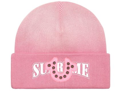 fall winter2025 supreme r true religion r beanie pink 9 ad 9
