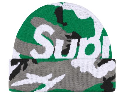 fall winter2025 camo big logo beanie green camo 2 ad USD 2
