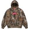 fall winter2025 box logo hooded sweatshirt realtree r ap camo 0 ad 0